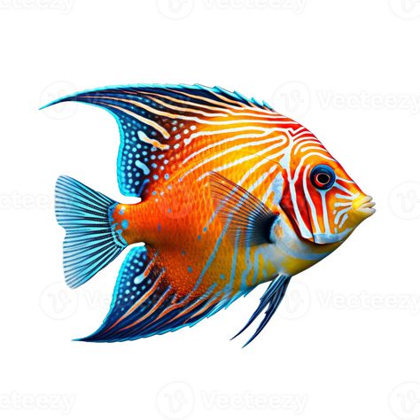 Tropical fish isolated on transparent background, created with generative AI Colorful Drawing Reference, Coral Reef Fish Photography, Tropical Fish Drawing Simple, Colourful Fish Painting, Colorful Ocean Fish, Pretty Fish Ocean, Tropical Fish Illustration, Tropical Fish Painting, Beautiful Fish Photography