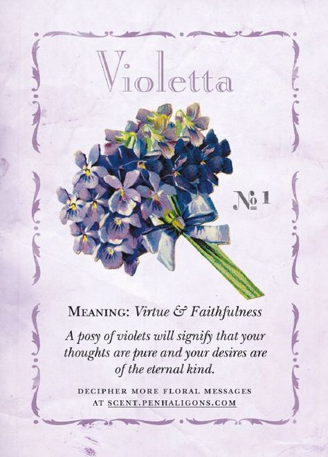 Bouquet Of Violets, Sweet Violets, Flower Meanings, Symbols And Meanings, Flower Names, Language Of Flowers, Flower Quotes, African Violets, الرسومات اللطيفة