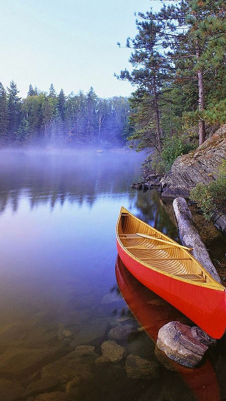 Ontario Parks, Canoe Camping, Algonquin Park, Canoe Trip, Beach House Style, Canoe And Kayak, Outdoor Adventure, Belle Photo, Outdoors Adventure