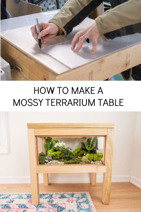 This terrarium table means we get to enjoy mossy lush plants all the time inside a functional piece of furniture. Table Terrarium, Urban Outfitters Room, Terrarium Table, Build A Terrarium, Lush Plants, Moss Terrarium, Terrarium Diy, Rock Decor, Unique Tables