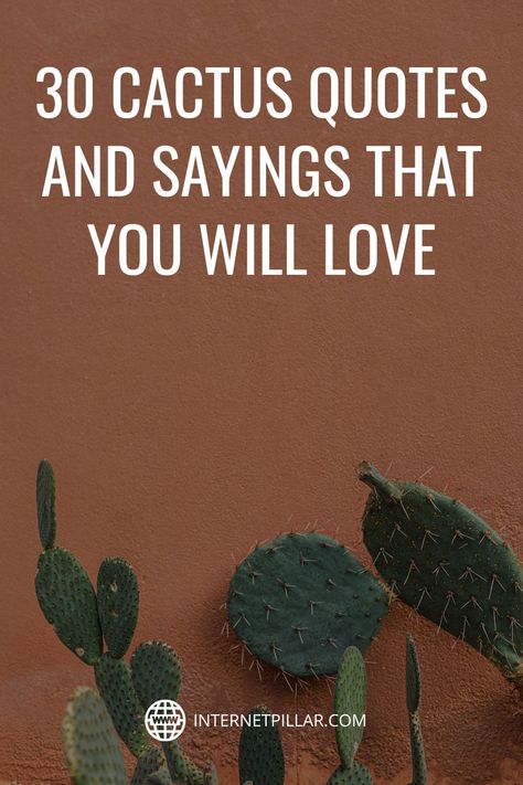 30 Cactus Quotes and Sayings That You Will Love - #quotes #bestquotes #dailyquotes #sayings #captions #famousquotes #deepquotes #powerfulquotes #lifequotes #inspiration #motivation #internetpillar Cactus Quotes Cactus Quotes Inspirational, Quotes About Cactus Life, Plant Love Quotes, Cactus Memes Funny, Cactus Love Quotes, Funny Cactus Sayings, Desert Love Quotes, Cactus Quotes Inspirational Short, Cactus Sayings Quotes