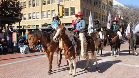 Fort Worth Stock Show’s 2024 All-Western Parade will set records – NBC 5 Dallas-Fort Worth Fort Worth Stock Show, Plane Trip, Houston Street, Travel Texas, Stock Show, Plane Travel, Grand Prairie, Texas Travel, The Fort