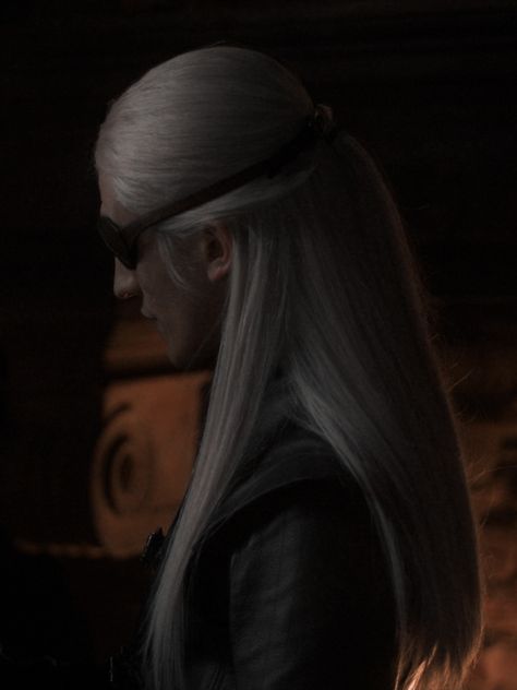 Targaryen Hair, Aemond Targaryen, Targaryen Art, Targaryen Aesthetic, Game Of Thrones Art, House Targaryen, Little Dragon, Dragon Games, Game Of Thrones Houses