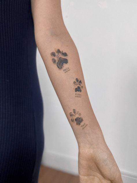 Tattoo Tattoo, Pet, Tattoos