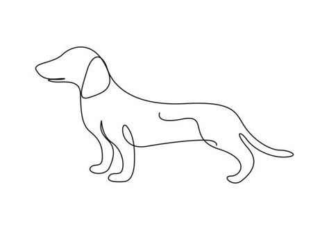 Dog drawing vector using continuous single one line art style isolated on white background. 6637744 Vector Art at Vecteezy Appenzeller Dog, Dog Vector Illustration, Line Art Style, One Line Art, Drawing Vector, One Line Drawing, Dog Vector, Continuous Line, Cityscape Photos