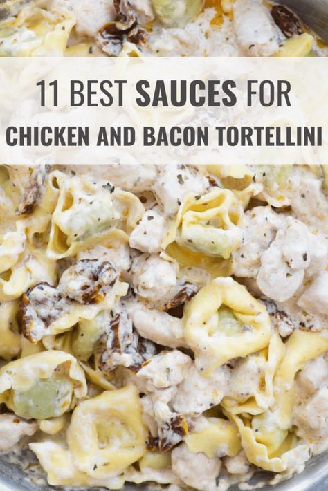 What Sauce Goes with Chicken and Bacon Tortellini? – Happy Muncher Chicken Bacon Tortellini Recipes, Sauce For Chicken Tortellini, Chicken Bacon Tortellini, Chicken And Cheese Tortellini Recipes, Bacon Tortellini, Best Sauce For Chicken, Garlic Tortellini, Chicken With Prosciutto, Best Sauces