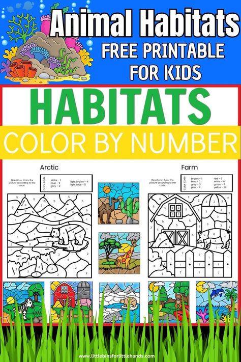 Animal Habitats Color By Number - Little Bins for Little Hands Animal Habitats Activities For Kids, Animal Habitat Activities, Arctic Habitat, Habitat Activities, Number Printables, Ocean Habitat, Animal Adaptations, Bee Hotel, Forest Habitat