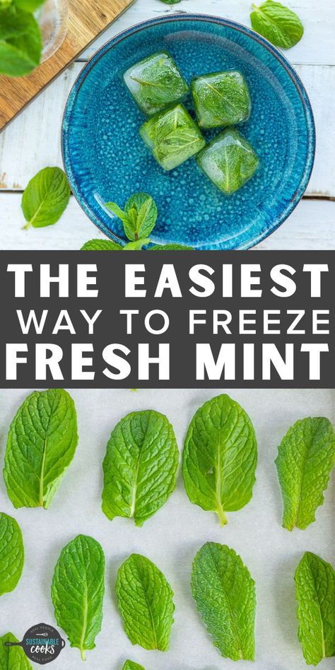 Learn all the tips and tricks for how to freeze mint to build a freezer stash of this incredible herb. Freezing mint is a great way to preserve without needing to know any special kitchen skills. Mint Recipes Fresh, Mint Chocolate Ice Cream, Watermelon Popsicles, Mint Recipes, Kitchen Skills, Homemade Seasonings, Veggie Side Dishes, Garden Recipes, Food Drinks Dessert