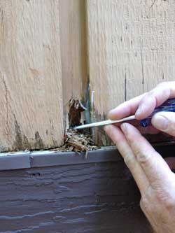 How to Repair Wood Rot Rotten Wood, Diy Home Decor For Apartments, House Repair, Wood Repair, Rv Ideas, Home Fix, Handyman Services, Wood Filler, Diy Home Repair