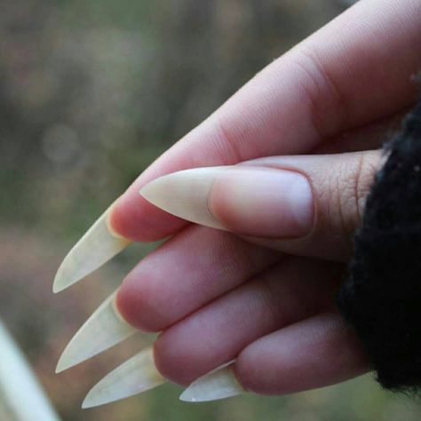 Natural Stiletto Nails, Long Natural Nails, Hands Nails, Sharp Nails, Vampire Aesthetic, Claw Nails, Photographie Portrait Inspiration, Pretty Hands, Stiletto Nails