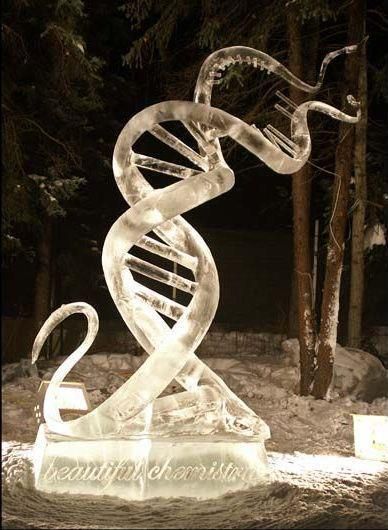 DNA ice sculpture Dna Art, Biology Art, Ice Art, Ice Sculpture, Snow Sculptures, Snow Art, Sand Sculptures, Perez Hilton, Ice Sculptures