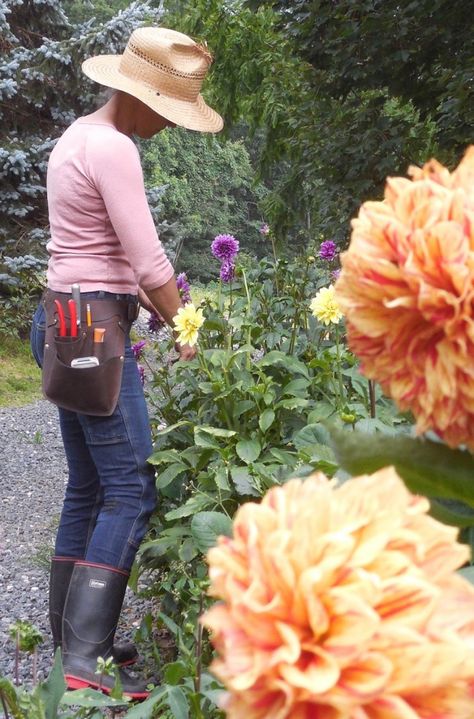 wheeler-munroe-farm-belt-gardenista Garden Belt, Garden Tool Belt, Florist Tools, Object Of Desire, Tool Apron, Tool Belts, Flower Farmer, Gardening Apron, Flower Studio