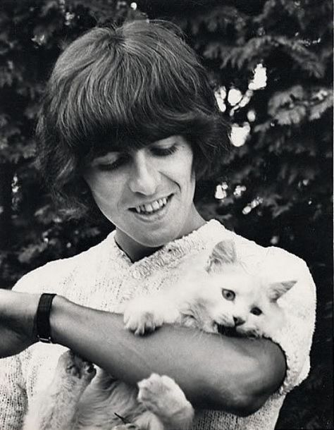 …and are 25% more likely to favor George. | 15 Facts That Prove Cat People Aren’t Crazy (They’re Awesome) George Beatles, Celebrities With Cats, Patricia Highsmith, Men With Cats, Beatles George, Beatles Fans, I'm With The Band, Cat People, Cat Person