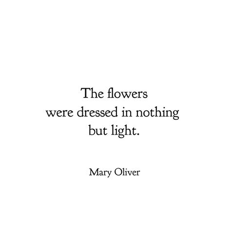 This evening I'm thankful for all the flowers I can see from my windows. Quotes About Being A Light To Others, Amazing Short Quotes, Ceramic Quotes, Great Short Quotes, Short Quotes About Love, Mary Oliver Quotes, Mary Oliver Poems, Flower Mandalas, Nature Poem