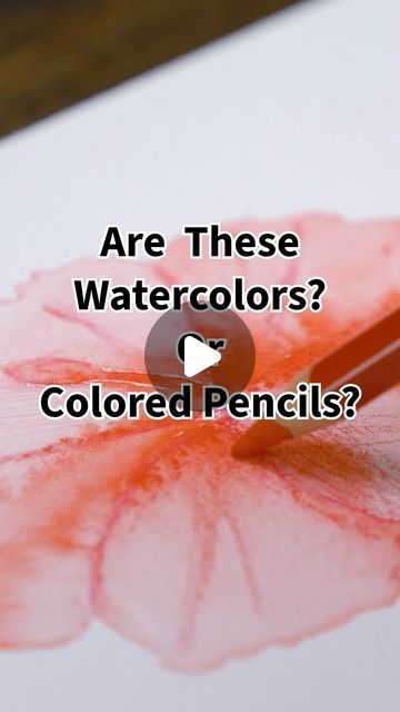 Blick Art Materials on Instagram: "💦 ✏️ Watercolor Pencils… are they watercolors or are they colored pencils? 🤔 Turns out they’re a little bit of both, creating their own expressive medium! See them in action with the Caran d’Ache Supracolor Soft Aquarelle Pencil Set.   These highly pigmented, water-soluble pencils lay down broad strokes, fine lines, and gradients that transform into lush watercolor washes with a wet brush 🖌️ Layer more pigment on wet and dry areas to achieve a wide range of effects. The possibilities are endless! ✨ Shop at the link in our bio!  _______________ #blickartmaterials #watercolorpencils #watercolors #coloredpencils  #ArtSupplies #CaranDAche @carandache #createwithblick" Pencil Watercolor Drawing, Water Colour Pencils Drawings, How To Use Watercolor Pencils, Watercolor Pencils Ideas, Wet On Wet Watercolor, Using Watercolor Pencils, Watercolor Pencils Techniques, Water Color Pencil, Water Brush