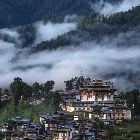 Amazing Bhutan (@amazing_bhutan) • Instagram photos and videos Bhutan Culture, Gross National Happiness, Bhutan Travel, Village Photos, Nepal Travel, Air Tickets, Ways To Travel, Travel Packages, Love Light