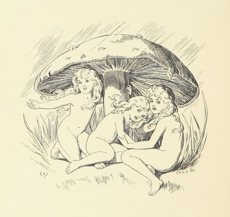 British Library digitised image from page 84 of "Three Sun… | Flickr Ephemeral Tattoo, British Library Digitised Image, Unique Drawings, Vintage Drawing, Love Vintage, British Library, Forest Fairy, Fairy Art, Vintage Illustration