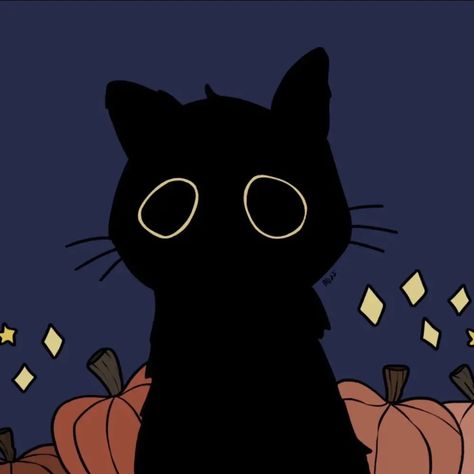 A Black Cat, A Black, Pumpkins, Feline, Black Cat, Halloween, Black