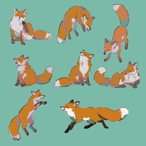 Peppers Drawing, Types Of Foxes, Fox Illustration Drawing, Fox Character, Fox Drawing, Fox Illustration, Animal References, Animated Animals, Character Reference