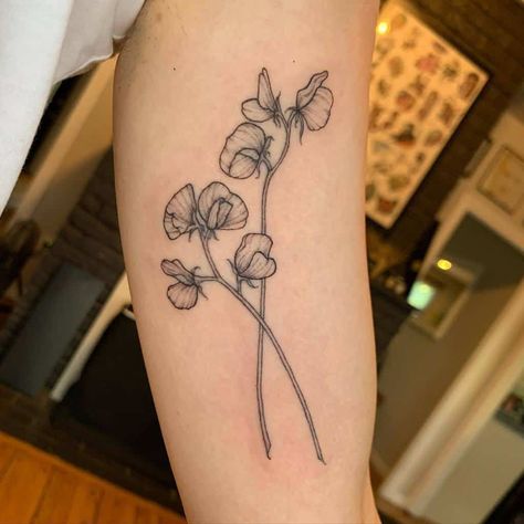 Climbing Plants Tattoo, Sweet Peas Flowers Tattoo, Sweetpea Tattoo, Sweetpea Flower Tattoo, Pea Flower Tattoo, Sweet Pea Flower Tattoo, Pea Tattoo, Sweet Pea Tattoo, Sweet Pea Flower