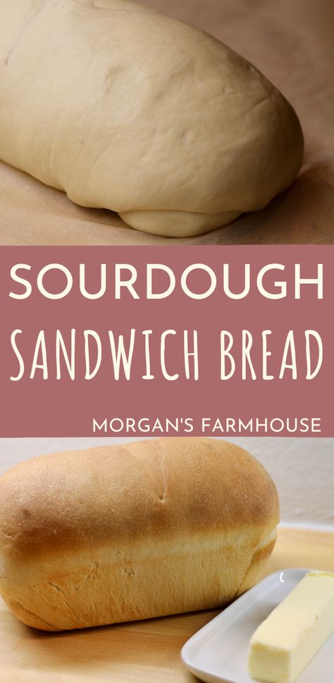 Sourdough Sandwich Bread Recipe, Sourdough Sandwich Bread, Easy Sourdough Bread Recipe, Sandwich Bread Recipe, Recipe Using Sourdough Starter, Sourdough Bread Starter, Sourdough Bread Sandwiches, Sourdough Starter Discard Recipe, Sourdough Sandwich