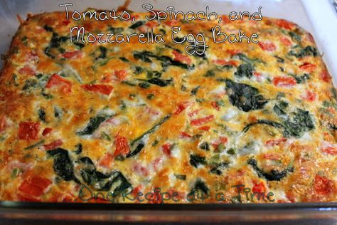 Egg Spinach Bake, Tomato Egg Bake, Spinach Egg Casserole, Spinach And Mozzarella, Breakfast Egg Bake, Baked Breakfast Casserole, Tomato Breakfast, Spinach Breakfast, Spinach Bake