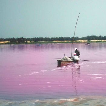 Le lac Rose au Sénégal