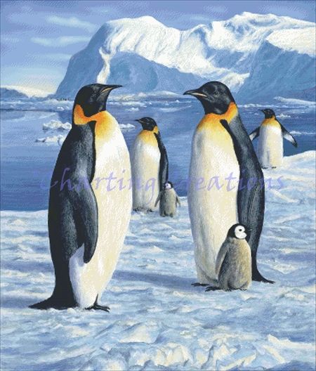 Penguins Artwork Blanket, Penguin Artwork, Penguin Parade, Hare Art, Penguin Plush, Penguin Drawing, Time Well Spent, Fun Magnets, Paint Pots