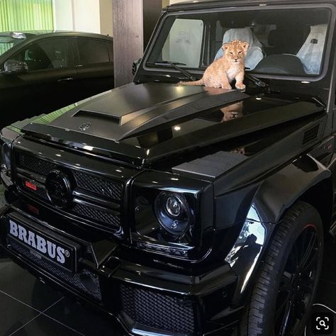 Black Mercedes, Black Mercedes Benz, Mercedes G Wagon, Lux Cars, Luxury Lifestyle Dreams, Money Goals, Rich Kids, My Dream Car, Sports Cars Luxury