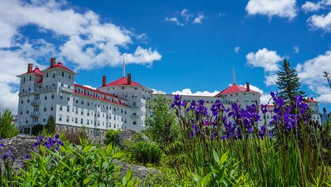 Omni Mount Washington Resort | New Hampshire Resorts Mount Washington Hotel, Bretton Woods, Omni Hotel, Unique Vacations, Mt Washington, Senior Discounts, Mount Washington, Wide World, Mountain Resort