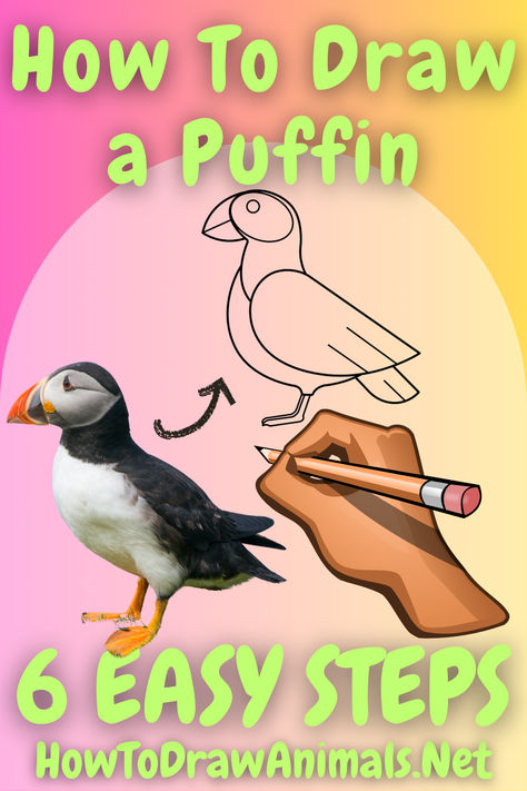 Master Drawing the Delightful Puffin with Our Simple, Illustrated Tutorial – Ideal for Artists of All Levels! How To Draw A Puffin, Puffin Drawing Cute, Puffins Bird Drawing, Puffin Artwork, Puffin Drawing, Puffin Illustration, Puffin Painting, How To Draw Birds, Fantasy Birds