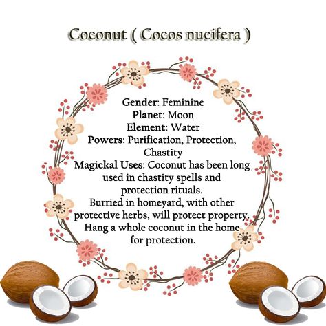 Coconut Witchcraft Uses, Coconut Witchcraft, Coconut Magical Properties, Witchy Remedies, Magick Correspondences, Grimoire Inspiration, Virgo Emotions, Magickal Correspondences, Kitchen Witchcraft