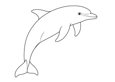 Dolphin Drawing Easy, Dolphins Drawing, How To Paint A Dolphin, Dolphin Outline, Dolphin Sketch, Dolphin Drawing Simple, Dolphin Sketch Easy, Dolfin Drawings, Simple Dolphin Painting