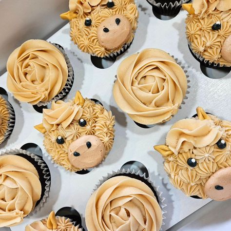 Ain't no horsing around here 🐎 These pony cupcakes turned out so good 🐴 . . . #horse #horsecupcakes #cupcakesofinstagram #cupcakedecorating #cupcakes #2024cake #cake #cakedecorating #cakesofinstagram #cakedesign #cakestagram #cakeart #buttercream #buttercreamcake #cakedecorator #cakecakecake #yycliving #yyclocal #yycfood #yyceats #yyc #calgary #cochrane #alberta #cochranealberta #cochraneab #cochranelocal #cochranesmallbusiness #calgarycakes #cochranecakes Horse Cupcakes, Pony Cupcakes, Cochrane Alberta, Baby First Birthday, Smash Cake, Buttercream Cake, Cupcakes Decoration, Cake Art, Cake Smash