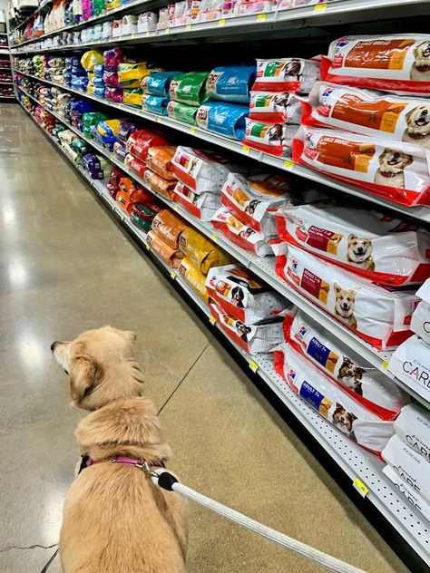 Walking down the dog food aisle in the supermarket with my dog is not something I do often -- because I get our dog food delivered from free from Nature's Select. Here's my experience with this all-natural dog food delivery service... All Natural Dog Food, Dogs Things, Dog Food Delivery, Senior Dog Food Recipes, Food Delivery Service, Dog Treats Homemade Recipes, Diy Dog Treats, Scammer Pictures, Natural Dog Food