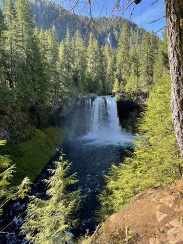 Forest Oregon, Roadside America, Waterfall Trail, Old Wagons, Fall Creek, Road Trip Routes, Beautiful Hikes, River Trail, Small Waterfall