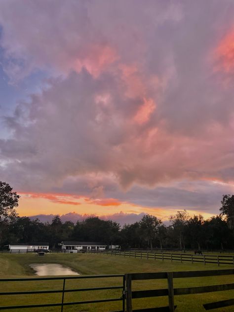 Florida Farm, Florida Life, Ocala Florida, By The Beach, Future Life, Farm Life, Golf Courses, The Beach, Surfing