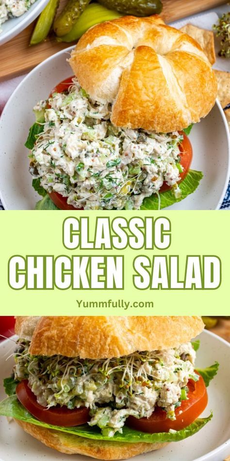 Enjoy the timeless and refreshing taste of Classic Chicken Salad, a harmonious blend of tender chicken, crisp celery, and creamy mayonnaise, perfect for sandwiches or salads. If you’re a fan of this classic dish or eager to explore more delicious recipes, click here for a journey that will leave your delighted with every bite Classic Chicken Salad, Rotisserie Chicken Salad, Delicious Chicken Salad, Chicken Salad Recipe Easy, Easy Chicken Salad, Healthy Chicken Salad, Chicken Salad Sandwich, Chicken Salad Recipe, Tender Chicken