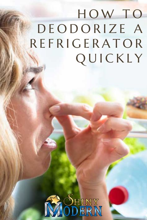 How To Get Smell Out Of Refrigerator, How To Get Rid Of Smell In Fridge, Fridge Deodorizer Diy, Fridge Smell Tips, Smelly Refrigerator, Fridge Odor Eliminator, Odor Eliminator Diy, Cleaning Fridge, Smelly Fridge