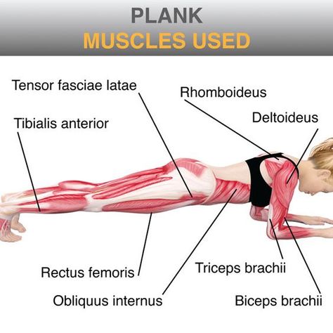 I recently created a plank exercise as many of my friends have asked me about ways to tighten their core. While it doesn’t stop here, planking is one exercise I incorporate with EVERY workout… Plank Muscles Used, Plank Muscles, Workouts Calisthenics, Back Pain Relief Exercises, Plank Exercise, Stomach Toning Workouts, Bodyweight Workout Routine, Biceps Brachii, Yoga Anatomy