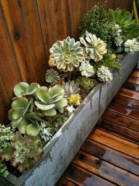 Large Metal Planter Boxes - Ideas on Foter Wood Succulent Planter, Succulent Gardening, Succulents In Containers, Cactus Y Suculentas, Succulents Garden, Succulent Planter, Dream Garden, Malaga, Amazing Gardens