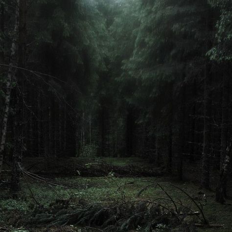 Witchy Aestethic, Sunrise Aesthetics, Dark Naturalism, Dark Forest Aesthetic, Dark Fairycore, Dark Green Aesthetic, Slytherin Aesthetic, Foggy Forest, Dark Cottagecore