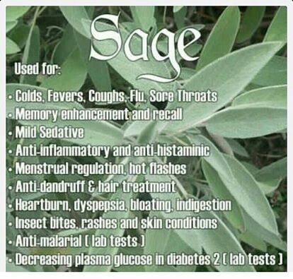 Uses for sage Herbs And Uses, Sage Benefits, Natural Healing Remedies, Insect Bites, Healing Herbs, Natural Home Remedies, Medicinal Herbs, Medicinal Plants, Natural Medicine