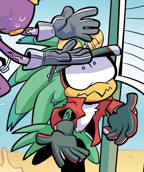 Sonic The Hedgehog Idw, Jet The Hawk, Gimme More, The Hedgehog, Endless Summer, Funny Faces, Sonic, Card Games, Sonic The Hedgehog