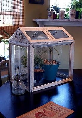 DIY Wardian Case Mini Conservatory, Homemade Greenhouse, Wardian Case, Best Greenhouse, Indoor Greenhouse, Old Picture Frames, Backyard Greenhouse, Small Greenhouse, Greenhouse Plans