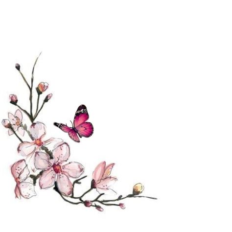 Cherry Blossom Tattoo Designs For Women, Butterflies And Cherry Blossom Tattoo, Japanese Cherry Blossom And Butterfly Tattoo, Hummingbird Cherry Blossom Tattoo, Cherry Blossom Butterfly, Cherry Blossom Butterfly Tattoo, Butterfly Cherry Blossom Tattoo, Cherry Blossom Shoulder Tattoo For Women, Cherry Blossom Tattoo Drawing