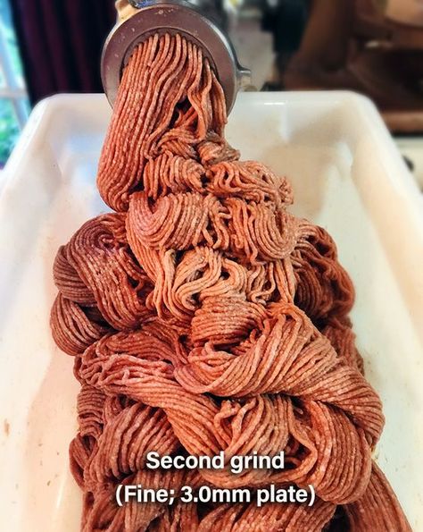 10-pounds of Homemade Bologna | Smoking Meat Forums - The Best Barbecue Discussion Forum On Earth! Homemade Lunchmeat, Homemade Bologna, Lebanon Bologna, Smoked Bologna, Curing Bacon, Bologna Recipes, Meat Processing, Sausage Making, Lunch Meat Recipes