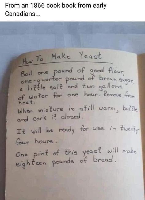 Diy Yeast, Yeast Starter, Cooking Substitutions, Baking Substitutes, Homemade Spices, Bread Machine Recipes, Starters Recipes, Old Recipes, Bread Recipes Homemade