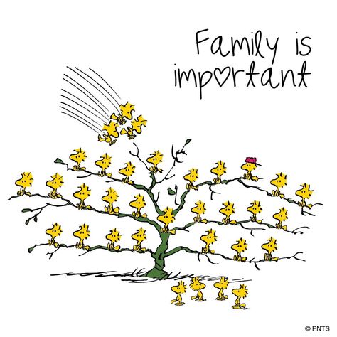 Snoopy Family, Peanuts Quotes, Woodstock Snoopy, Woodstock Peanuts, I Love My Family, Snoopy Cartoon, Snoopy Funny, Peanuts Snoopy Woodstock, Snoopy Images