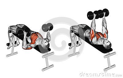 Bench Press Muscles Worked, Steps Illustration, Workout Charts, Gym Chest Workout, Dumbbell Bench Press, Bench Press Workout, Workout Girls, Exercise Benches, Gym Vibes